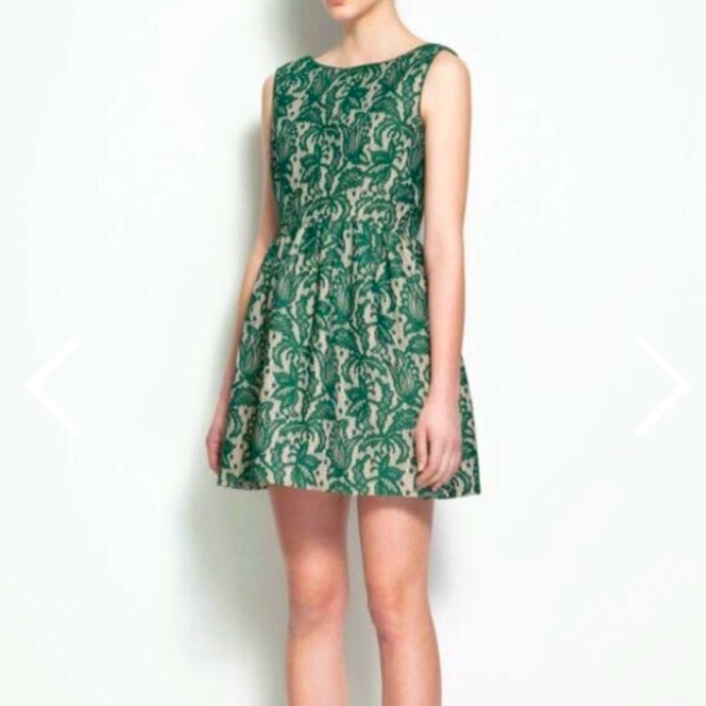 “ZARA” Tulip Lace Overlay Dress - Picture 1 of 16